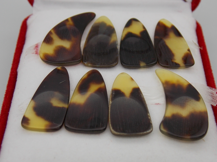 768八片盒装玳瑁平面指甲/大中小