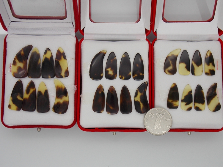 768八片盒装玳瑁平面指甲/大中小